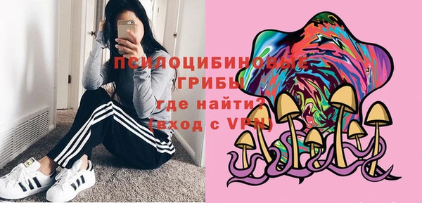 apvp Балабаново