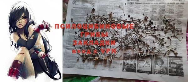 стафф Баксан