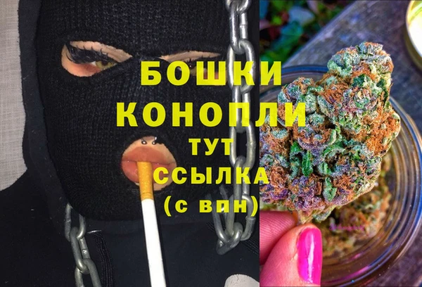 гашик Балахна