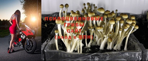 стафф Баксан